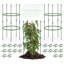 Angellique 102cm H x 50cm W Metal Obelisk Trellis