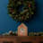 Christmas Animals Nativity Set