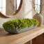 Moss 6" Artificial in Fiberstone Planter-1306519053-1306162796