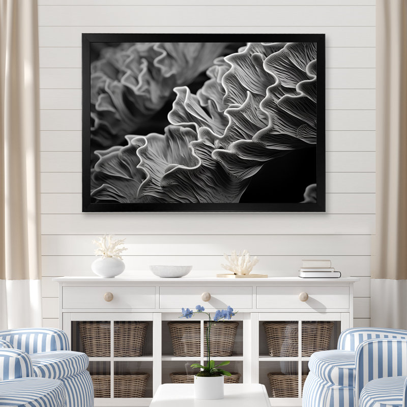 Impression sur toile «Black and White Coral Anemone», plage et océan, Cadre simple noir, H 16 po x l 32 po x P 1 po