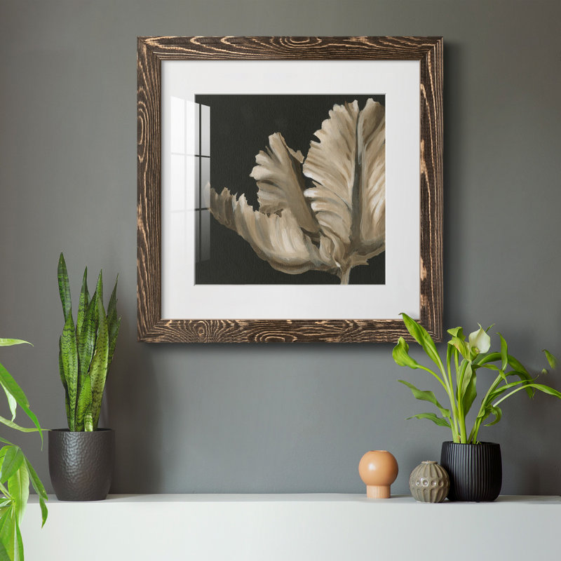 «Classical Blooms II», reproduction encadrée de qualité supérieure - prête à être accrochée, Noir