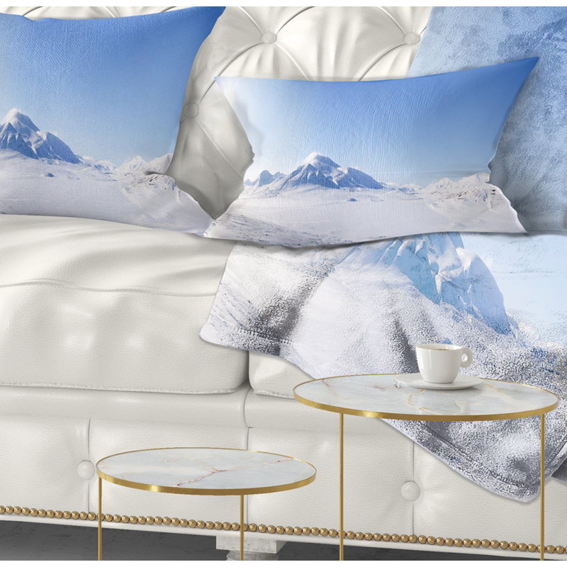 Coussin Schafer