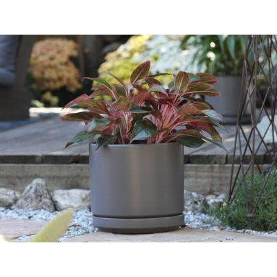 PLANTATOREM Ceramic 14 Inch Mid Modern Planter Pot with Drainage Hole and Saucer, Indoor Cylinder Round Flower Pot, Perfect for Planting Succulents, Herbs, Flowers, House Plants, Jet Grey
