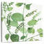 Harnek Mixed Greens XXII-109204014