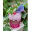24oz. Acrylic Highball Glass Set-51342870