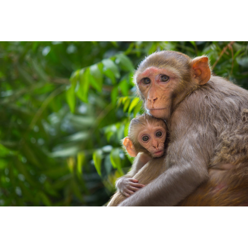Mother and Child 1 Piece Wrapped Canvas Wall Art, 81cm H x 122cm W