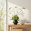 Arrangement organique moderne dans un pot
