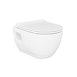 Charm 1.28 GPF High Efficiency Dual Flush Wall Mounted Toilet