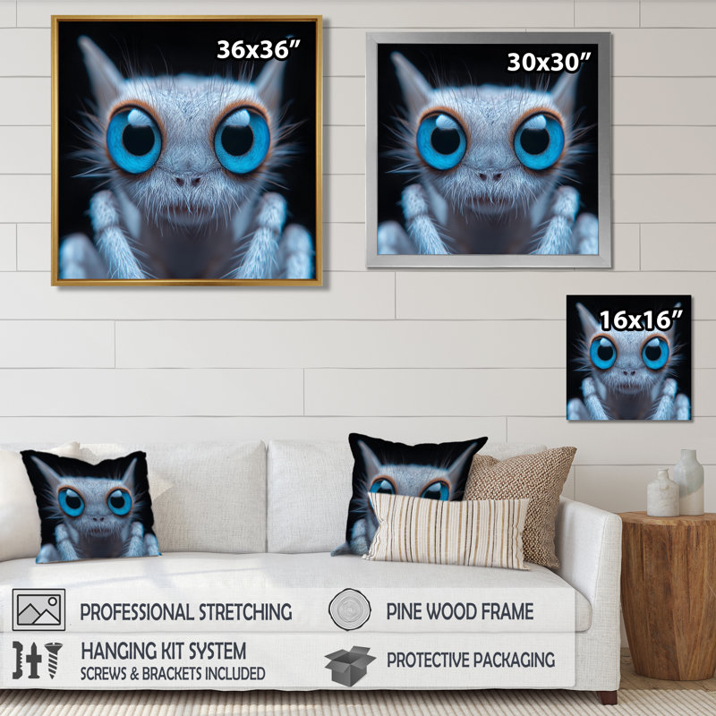 Macro, gros plan d'une créature araignée mignonne - insectes et insectes, impression d'art mural, H 16 po x l 16 po