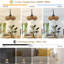 Ventilateur de plafond extérieur imperméable avec lumières et télécommande