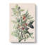 Ground Doves by John Audubon - Wrapped Canvas Painting-55359455