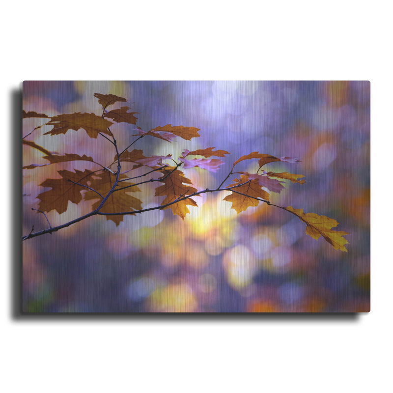 «United Colors of Autumn» par Roeselien Raimond, art mural en métal, H 16 po x l 24 po