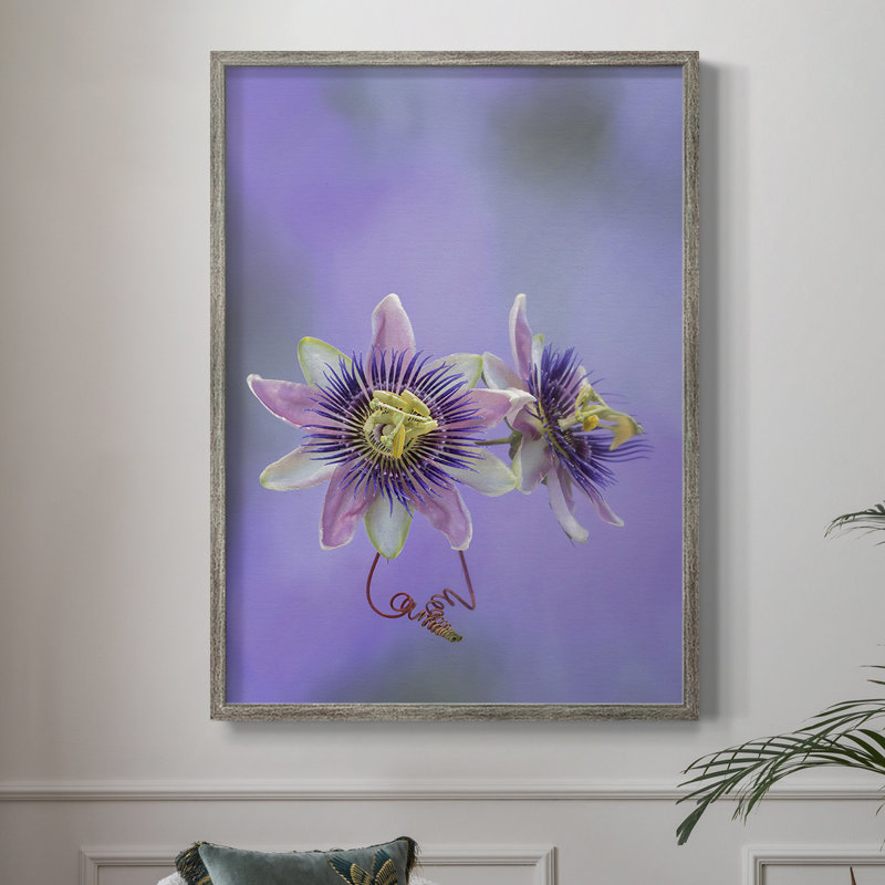 Exotic Flower Burst II, reproduction encadrée - bois massif, H 11 po x l 9 po