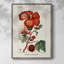 Reproduction encadrée Turpin Tropical Botanicals VII - bois massif-1851533799