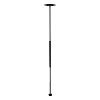 GoAnywhere Transfer Stability Grab Pole with SafetyGrip (Gray)