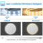 Nelms Flat Wall Mirror