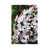 Wrapped Canvas selected