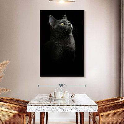 Proud Black Cat