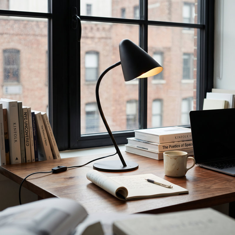 Organic Desk Table Lamp