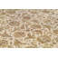 Wool Oriental Area Rug in Ivory