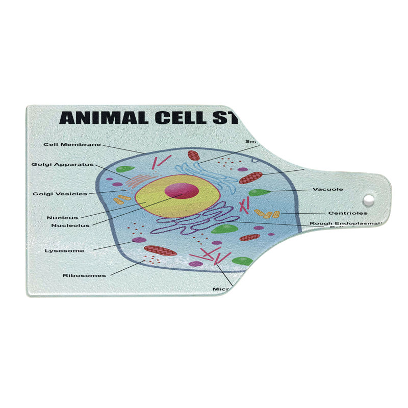 Multicolor Rectangular Tempered Glass Cutting and Serving Board