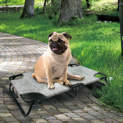 Lit surélevé pour chien