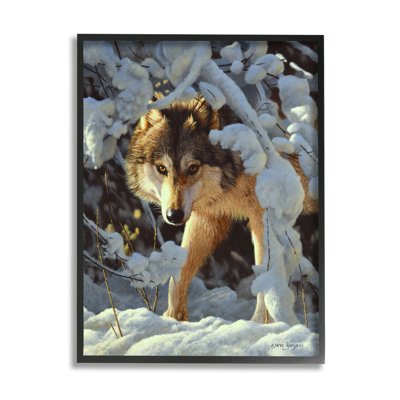 Stupell Industries, loup parmi les branches enneigées, estampe numérique par Steve Burgess