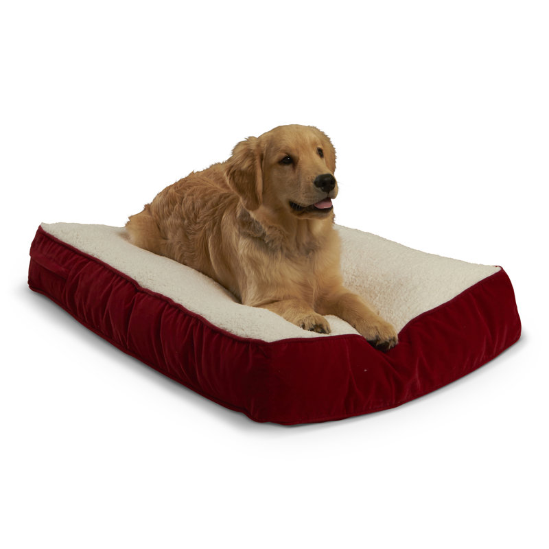 Lit pour chien Olivarez Classic, Cramoisi, Petit (L 36 po x l 24 po x H 5 po)