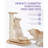 Cat Scratching Post Cat Scratcher Kitten Toys For Indoor Cats Wooden Ball Track Two-Layer Modern Sisal 17.7" Tall Scratch Post Interactive Toy With Dangling Ball