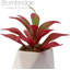 2,75 po Faux Agave dans un vase en céramique