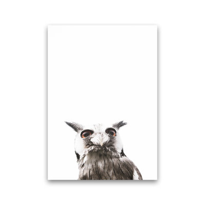 Lil Owl by Victoria Frost - Print