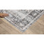 Tapis gris anthracite / ivoire Strouth Performance-1668611912