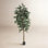 Faux Olive Tree Tree in Pot