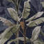 Borneo Emerald Wallpaper-238321741