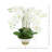 Orchids Arranged in Ceramic Key Footed Pot