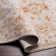 Finnlagh Oriental Indoor Rug