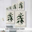 Soft Greenery I-Premium Gallery Wrapped Canvas -Ready to Hang