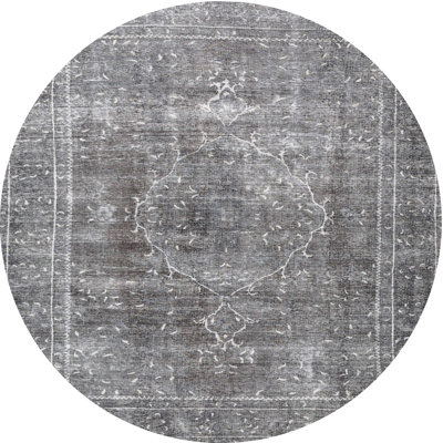 Oriental Indoor Rug