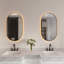 Miroir de salle de bain ovale 24 po x 40 po à DEL avec cadre noir Otis-1544700323