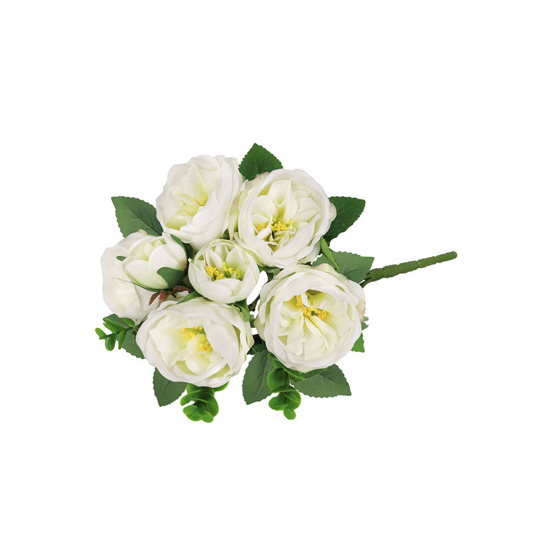 Arrangement de tiges de roses, de buissons et de jets, Blanc crème