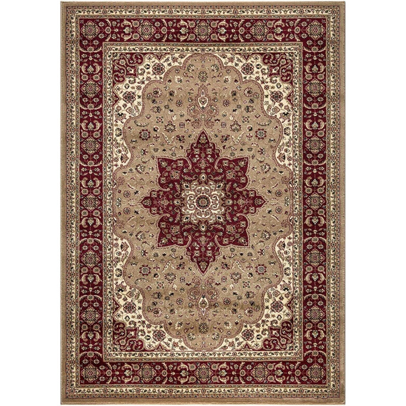 Oriental Area Rug, Rectangle 60 x 110cm