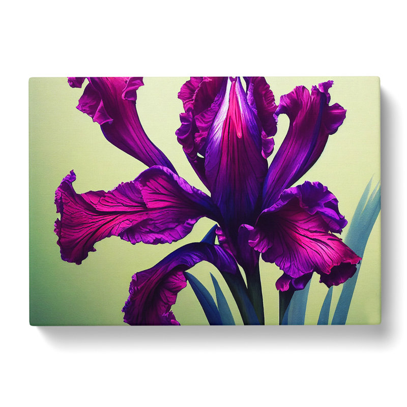 Classic Iris Flowers - Wrapped Canvas, 40cm H x 60cm W x 3cm D