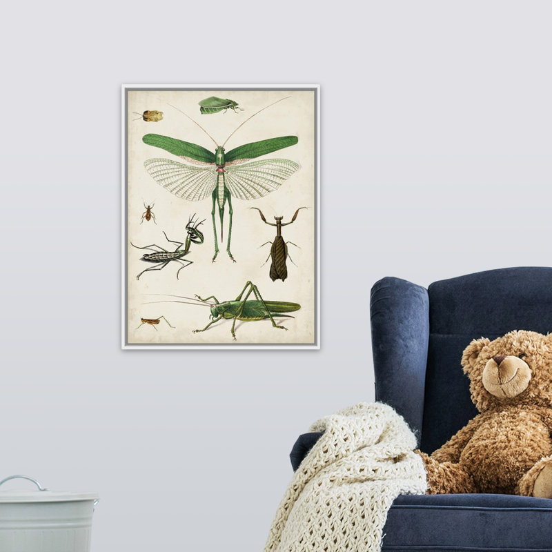 Art sur toile bugs kids, Cadre pour toile flottant blanc, H 24 po x l 18 po x P 1,2 po