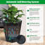 Pot Planter-685284878