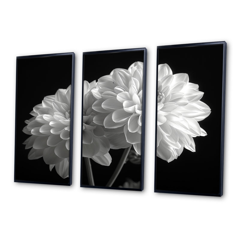 Monochromes blanc noir, «Mums Botanical Beauty I», ensemble de reproductions d'art mural, Toile avec cadre flottant noir