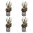 Anahera Collection Place Cold Holder