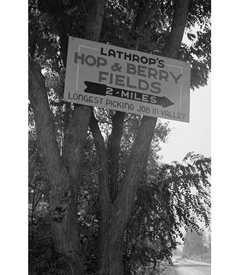 « hop & berry fields » par dorothea lange-reproduction de photo sans cadre