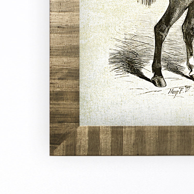 « équin sketch v », impression, Cadre doré, H 27 po x l 39 po x P 2 po, Pas de tapis
