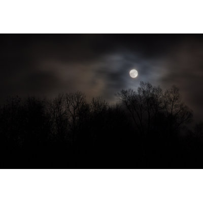 Full Moon Over Bare Trees by Khamlin14 - Wrapped Canvas Print