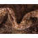 Weese Abstract Indoor Rug